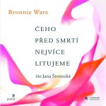 Čeho před smrtí nejvíce litujeme - Bronnie Ware – Hledejceny.cz