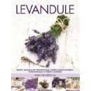 Kniha Levandule - Recepty, návody a tipy pro pěstování, výrobu domácí kosmetiky, tvoření dekorací a vaření s levandulí - Mirka Koníčková
