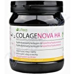 Liftea Colagenova HA Vanilka 390 g – Hledejceny.cz