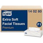 Tork papírové kapesníčky 2-vrstvé 100 ks – Zboží Dáma