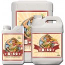 Advanced Nutrients B-52 250 ml