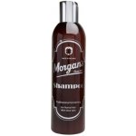 Morgans šampon na vlasy 250 ml – Hledejceny.cz