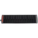 Hohner Airboard Carbon 32