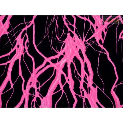 úplet plavkovina neon fuchsiový – Sleviste.cz