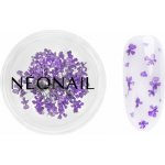NEONAIL Dried Flowers sušený květ na nehty odstín 06 Violet 1 ks – Hledejceny.cz
