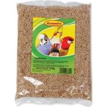 Avicentra Lesknice 0,5 kg – Zboží Dáma