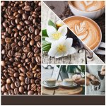 Yankee Candle Signature Vanilla Bean Espresso 37 g – Zboží Dáma
