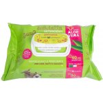 Farm Company ubrousky s Aloe Vera 40 ks – Zboží Mobilmania