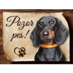 Sport hobby Cedulka Jezevčík černý hladkosrstý Pozor pes CP920 20 x 15 cm – Sleviste.cz