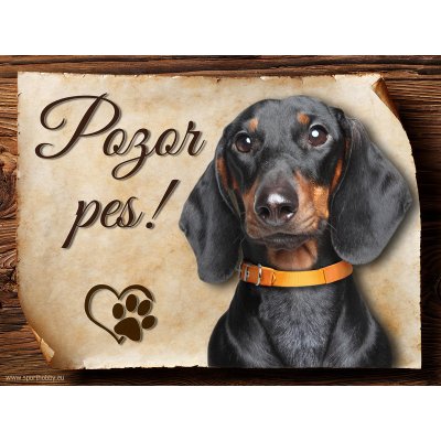 Sport hobby Cedulka Jezevčík černý hladkosrstý Pozor pes CP920 20 x 15 cm – Sleviste.cz