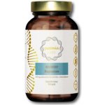 Puravia labs Magnesium Recovery 90 kapslí – Hledejceny.cz