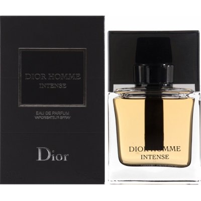 Christian Dior Intense parfémovaná voda pánská 100 ml – Zboží Mobilmania