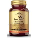 Solgar Magtein Magnesium L-Threonate tobolky 60 ks – Hledejceny.cz