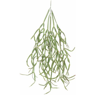 Umělá úponka Rhipsalis paradoxa 86 cm – Zboží Mobilmania