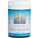 TCM Herbs Krůpěj z lesní studánky 100 tablet – Hledejceny.cz