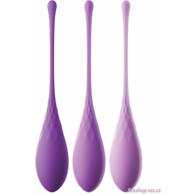 Pipedream Fantasy for Her Kegel Train-Her Set – Hledejceny.cz