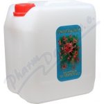 DebriEcaSan roztok kanystr 3 l – Hledejceny.cz