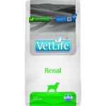 Vet Life Dog Renal 2 kg – Sleviste.cz