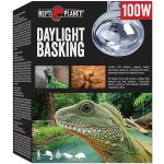 Repti Planet Daylight Basking Spot 100 W – Zboží Mobilmania