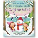 Co je to sníh? - Kuk pod okénko. Úplně první otázky a odpovědi - Katie Daynes