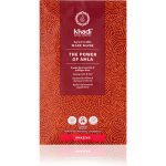 Khadi Hair Mask The Power of Amla posilující vlasová maska 50 g – Zboží Dáma