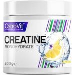 OSTROVIT Creatine 300 g – Zboží Mobilmania