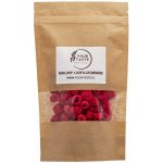 Wolfberry Maliny lyofilizované 100 g – Zboží Dáma