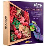 OKTO Sukulentní modelovací sada 21 x 21 cm DESIRE – Hledejceny.cz