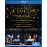 La Bohme: Teatro Regio Torino - Noseda BD – Hledejceny.cz