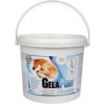 Orling Gelapony Chondro HYAL 1,8 kg – Hledejceny.cz