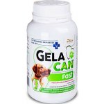 Gelacan Chondro Forte plv 500 g – Hledejceny.cz