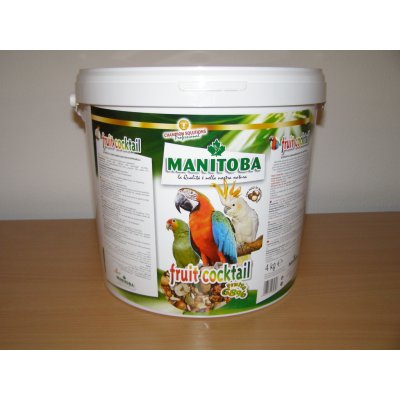 Manitoba Fruit Cocktail 4 kg – Hledejceny.cz