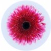 Držák na mobil TopQ PopSocket Pink Gerbera