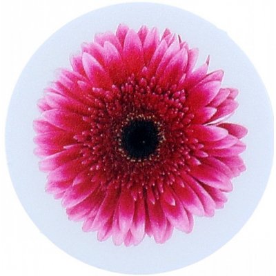 TopQ PopSocket Pink Gerbera – Zboží Mobilmania