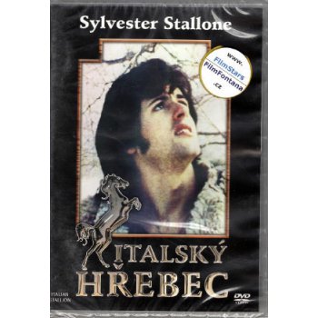 Italský hřebec DVD