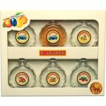 R. Jelínek 45% 6 x 0,05 l (set) – Zboží Mobilmania