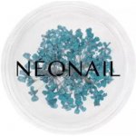 NEONAIL Dried Flowers sušený květ na nehty odstín 05 Turquoise 1 ks – Hledejceny.cz