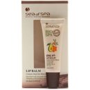 Sea SPF Spa Bio Spa balzám na rty (Lip Balm Contains Dead Sea Minerals) 12 ml