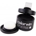 Colorwin Pudr na šediny černý 3,2 g – Zboží Dáma