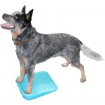 FitPaws rampa AQUA – Hledejceny.cz