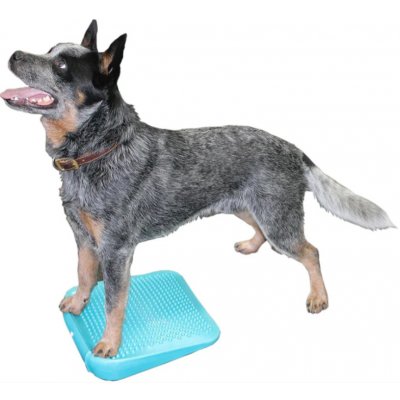 FitPaws rampa AQUA – Hledejceny.cz