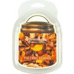 Chestnut Hill Candle Vonný Vosk Falling Leaves 105 g – Hledejceny.cz