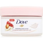 Dove Exfoliating Body Scrub Pomegranate Seeds & Shea Butter pečující tělový peeling 225 ml – Hledejceny.cz