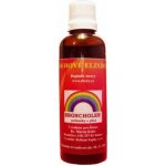 Duhové elixíry Broncholen 50 ml – Hledejceny.cz