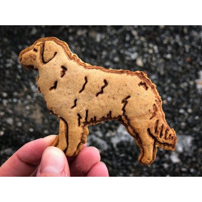 TVOŘÍTKO Nova Scotia Duck Tolling Retriever V - vykrajovátko – Hledejceny.cz