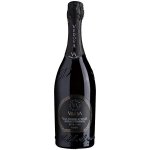 Cantine Vedova Valdobbiadene Prosecco Superiore DOCG Extra Dry polosuché 11% 0,75 l (holá láhev) – Zboží Dáma