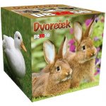 Pexeso box: Dvoreček – Zboží Živě