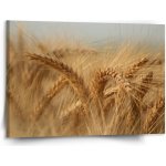 Sablio Obraz Klasy 2 - 150x110 cm – Hledejceny.cz