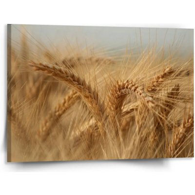 Sablio Obraz Klasy 2 - 150x110 cm – Hledejceny.cz