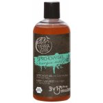 Tierra Verde sprchový gel pro muže Energie máty 500 ml – Hledejceny.cz